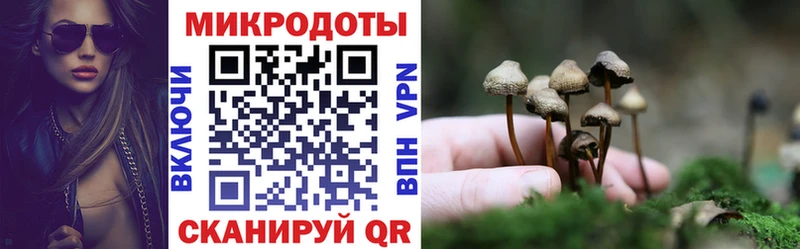 даркнет сайт  Жуков  Псилоцибиновые грибы MAGIC MUSHROOMS 